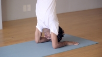 pincha mayur asana.