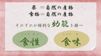 薬も食物も、自然の産物です。