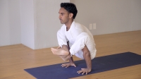 bhuja pida asana.